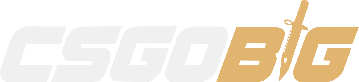 Logo CSGOBig